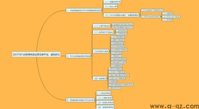 TikTok跨境电商：一个月净赚10万美刀(图1)